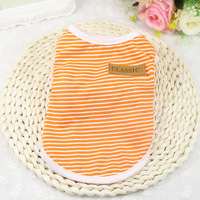 Lato ubrania dla kota kamizelka T Shirt odzież dla kota strój koszula ubrania dla zwierząt domowych ładny kostium dezynfekcyjny 25 s2 5